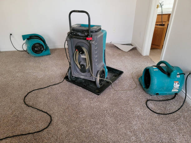 Best Water damage cleanup near me  in Roanoke, TX
