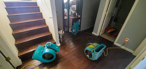 Best Commercial water damage restoration  in Roanoke, TX