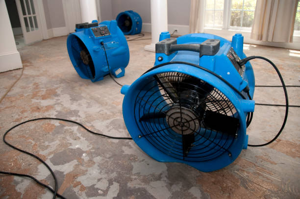 Best Ceiling water damage repair  in Roanoke, TX