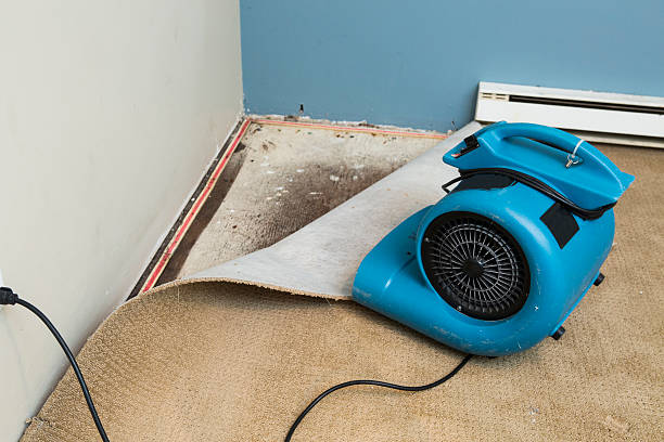 Best Emergency water damage restoration  in Roanoke, TX